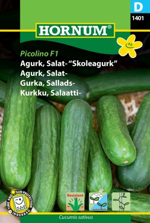 Agurk, Salat- 'Picolino F1' (Cucumis sativus)