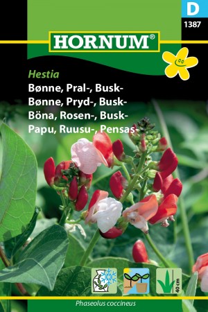 Bønne, Pryd-, Busk- 'Hestia' (Phaseolus coccineus)