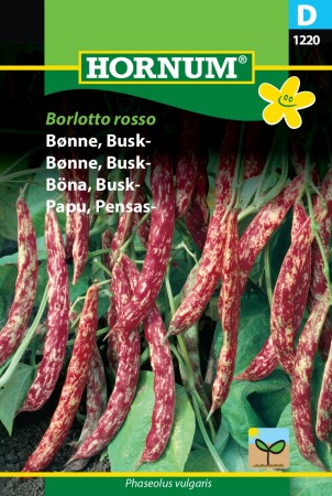 Bønne, Busk- 'Borlotto rosso' (Phaseolus vulgaris)