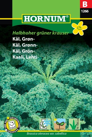Kål, Grønn- 'Lerchenzungen' (Brassica oleracea var. sabellica)