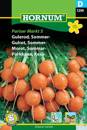 Gulrot, Sommer- 'Pariser Markt 5' (Daucus carota)