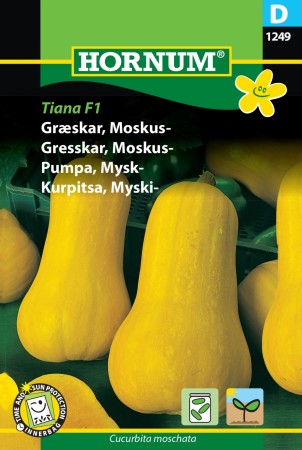 Gresskar, Moskus- 'Early Butter Nut F1' (Cucurbita moschata)