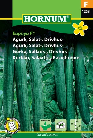 Agurk, Salat-, Drivhus- 'Futura F1' (Cucumis sativus)