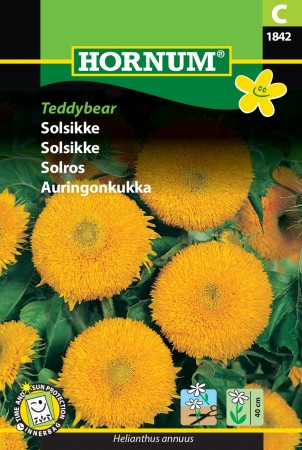 Solsikke 'Teddybear' (Helianthus annuus)