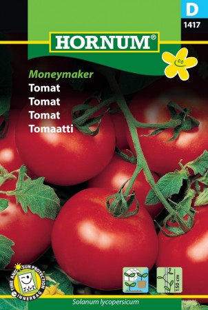 Tomat 'Moneymaker' (Solanum lycopersicum)