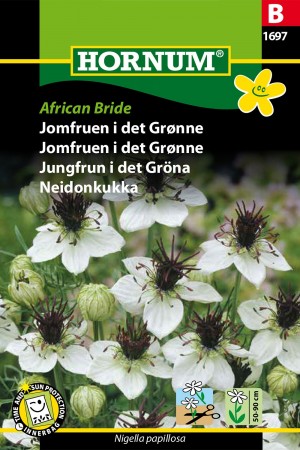 Jomfruen i det Grønne 'African Bride' (Nigella papillosa)