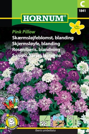 Skjermsløyfe, blanding 'Pink Pillow' (Iberis umbellata)