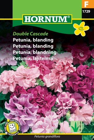 Petunia, blanding 'Double Cascade' (Petunia grandiflora)