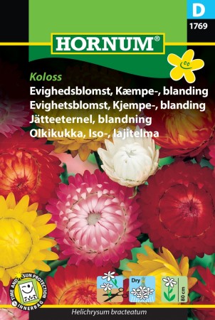 Evighetsblomst, Kjempe-, blanding 'Koloss' (Helichrysum bracteatum)