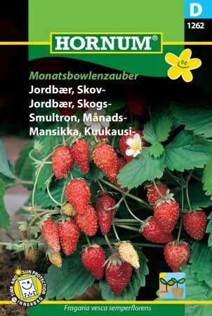 Jordbær, Skogs- 'Monatsbowlenzauber' (Fragaria vesca semperflorens)