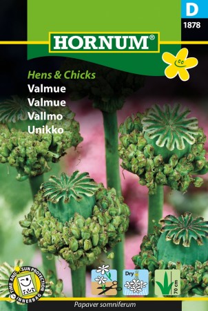 Valmue 'Hens & Chicks' (Papaver somniferum)