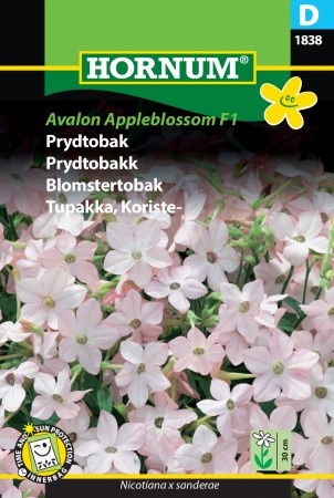 Prydtobakk 'Avalon Appleblossom F1' (Nicotiana x sanderae)