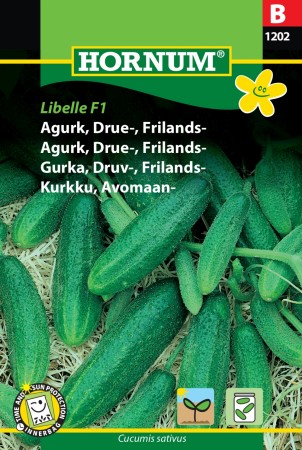 Agurk, Drue-, Frilands- 'Libelle F1' (Cucumis sativus)
