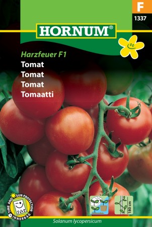 Tomat Gemini/Harzfeuer
