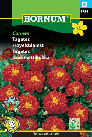 Fløyelsblomst 'Carmen' (Tagetes patula nana)