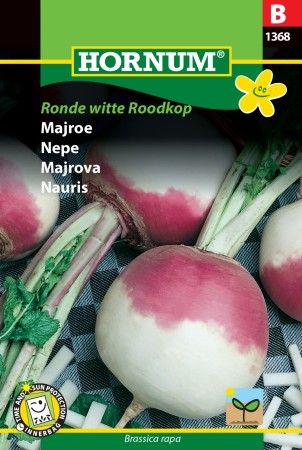 Nepe 'Ronde Witte Roodkop' (Brassica rapa)