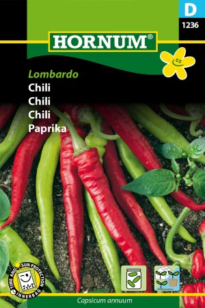 Chili 'Lombardo' (Capsicum annuum)