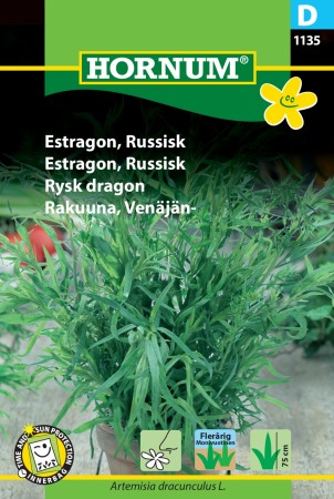 Estragon, Russisk (Artemisia dracunculus L.)