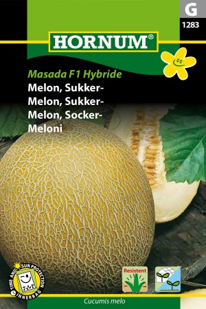 Melon, Sukker- 'Masada F1 Hybride' (Cucumis melo)