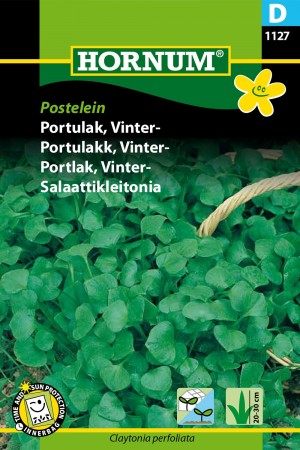 Portulakk, Vinter- 'Postelein' (Claytonia perfoliata)