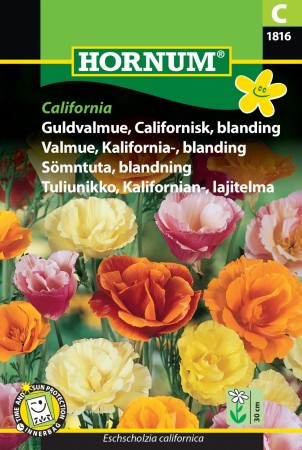 Valmue, Kalifornia-, blanding 'California' (Eschscholzia californica)
