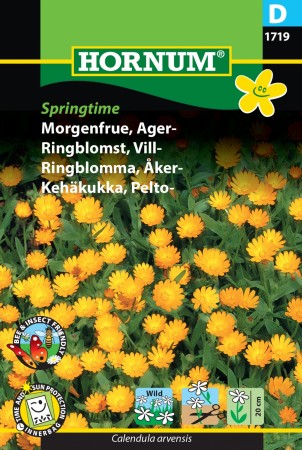 Ringblomst, Vill- 'Springtime' (Calendula arvensis)