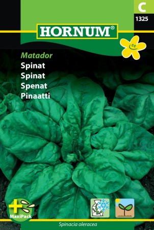 Spinat 'Matador' (Spinacia oleracea)