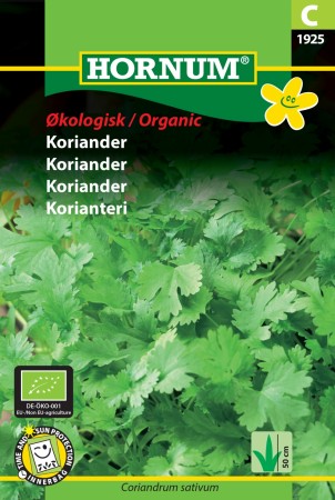 Koriander  (Coriandrum sativum)