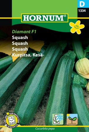 Squash 'Diamant F1' (Cucurbita pepo)