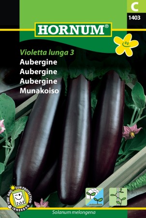 Aubergine 'Violetta lunga 3' (Solanum melongena)
