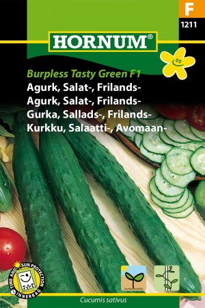 Agurk, Salat-, Frilands- 'Burpless Tasty Green F1' (Cucumis sativus)