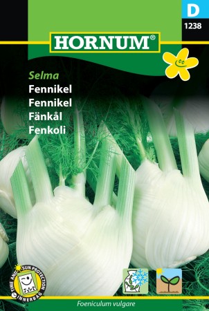 Fennikel 'Selma' (Foeniculum vulgare)