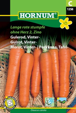 Gulrot, Vinter- 'Lange rote stumpfe ohne Herz 2, Zino' (Daucus carota)