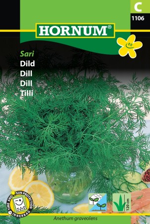 Dill 'Sari' (Anethum graveolens)