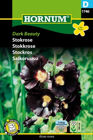 Stokkrose 'Dark Beauty' (Alcea rosea)