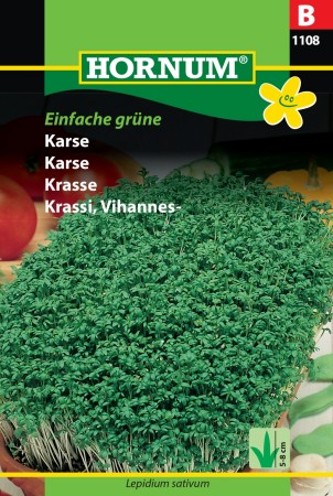 Karse 'Einfache grüne' (Lepidium sativum)