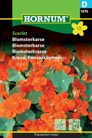 Blomsterkarse 'Scarlet' (Tropaeolum majus)
