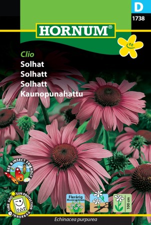 Solhatt 'Clio' (Echinacea purpurea)