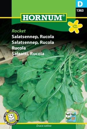 Salatsennep, Rucola 'Rocket' (Eruca sativa)