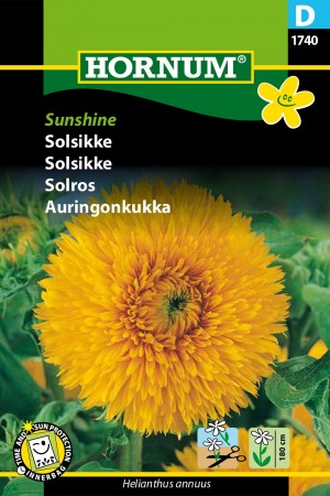 Solsikke 'Sunshine' (Helianthus annuus)