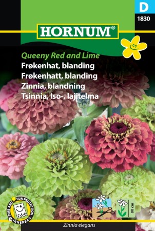 Frøkenhatt, blanding 'Queeny Red and Lime' (Zinnia elegans)