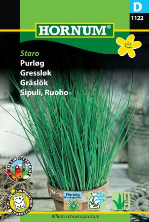 Gressløk 'Staro' (Allium schoenoprasum)