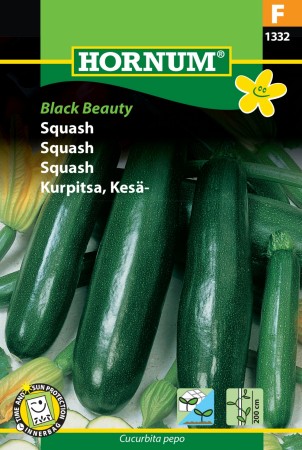 Squash 'Black Beauty' (Cucurbita pepo)