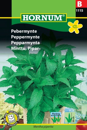Peppermynte '' (Mentha piperita)