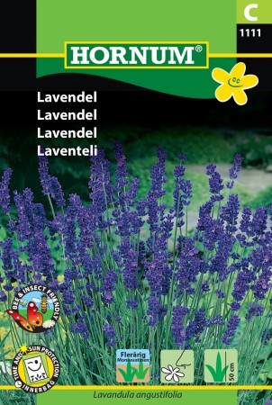 Lavendel '' (Lavandula angustifolia)