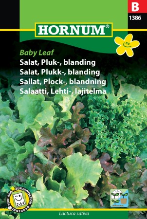 Salat, Plukk-, blanding 'Baby Leaf' (Lactuca sativa)