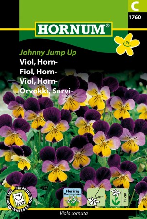Fiol, Horn- 'Johnny Jump Up' (Viola cornuta)