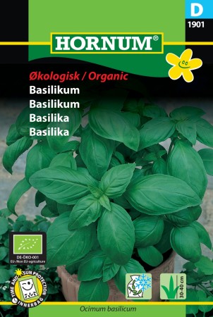 Basilikum (Ocimum basilicum)