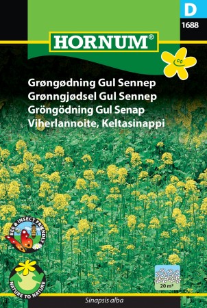 Grønngjødsel Gul Sennep (Sinapsis alba)