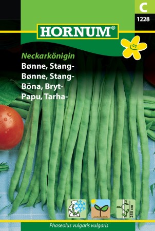 Bønne, Stang- 'Neckarkönigin' (Phaseolus vulgaris vulgaris)